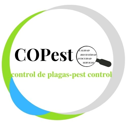 copest.com.mx